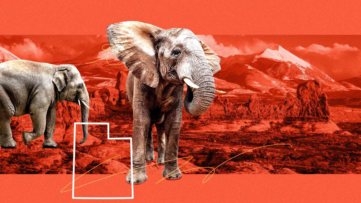 Republican candidates running to replace Sen. Mitt Romney raised and loaned themselves millions of dollars in the first three months of 2024.