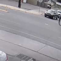 Have You Seen This? Escaped elephant wanders through streets in Montana