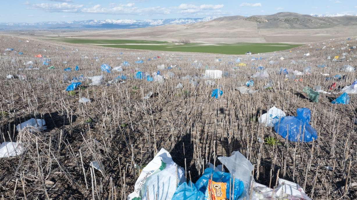 Plastic debris from the North Valley Landfill covers the fields of farmers near the Cache County dump site on April 15.