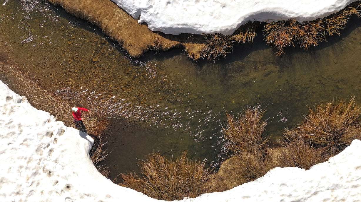 A fly fisherman casts near snowbanks in Big Cottonwood Creek in Big Cottonwood Canyon on Tuesday. Most of Utah's snowpack has yet to melt, but its reservoir system is already up to about 85% capacity.