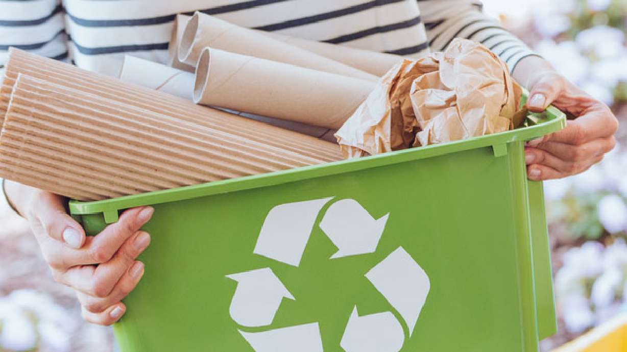 9 Utah businesses making eco-friendly strides
