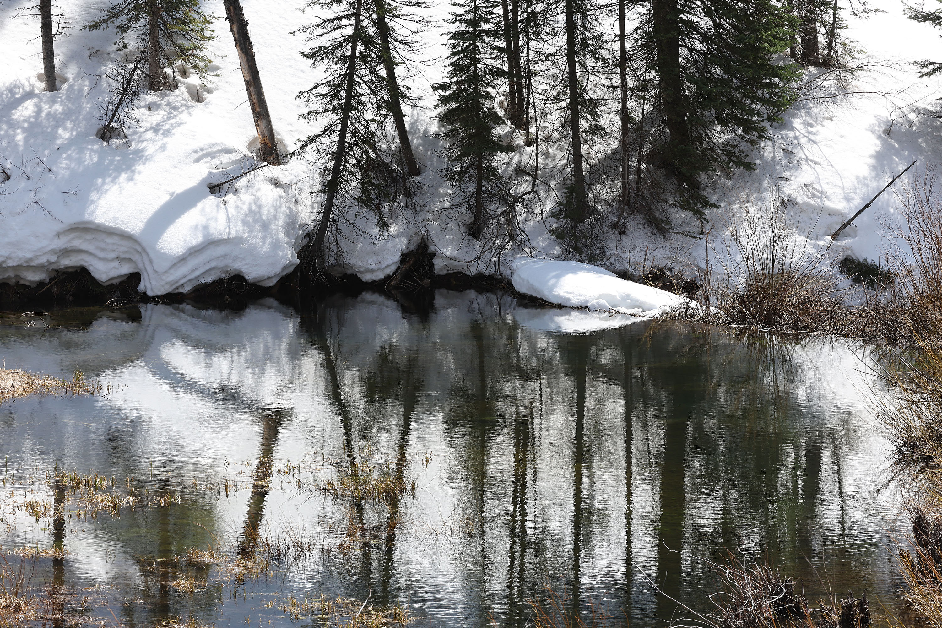Snow lines the Big Cottonwood Creek in Big Cottonwood Canyon on April 16. The National Weather Service says Utah's high-elevation snowpack will begin to melt in earnest over the next few weeks.