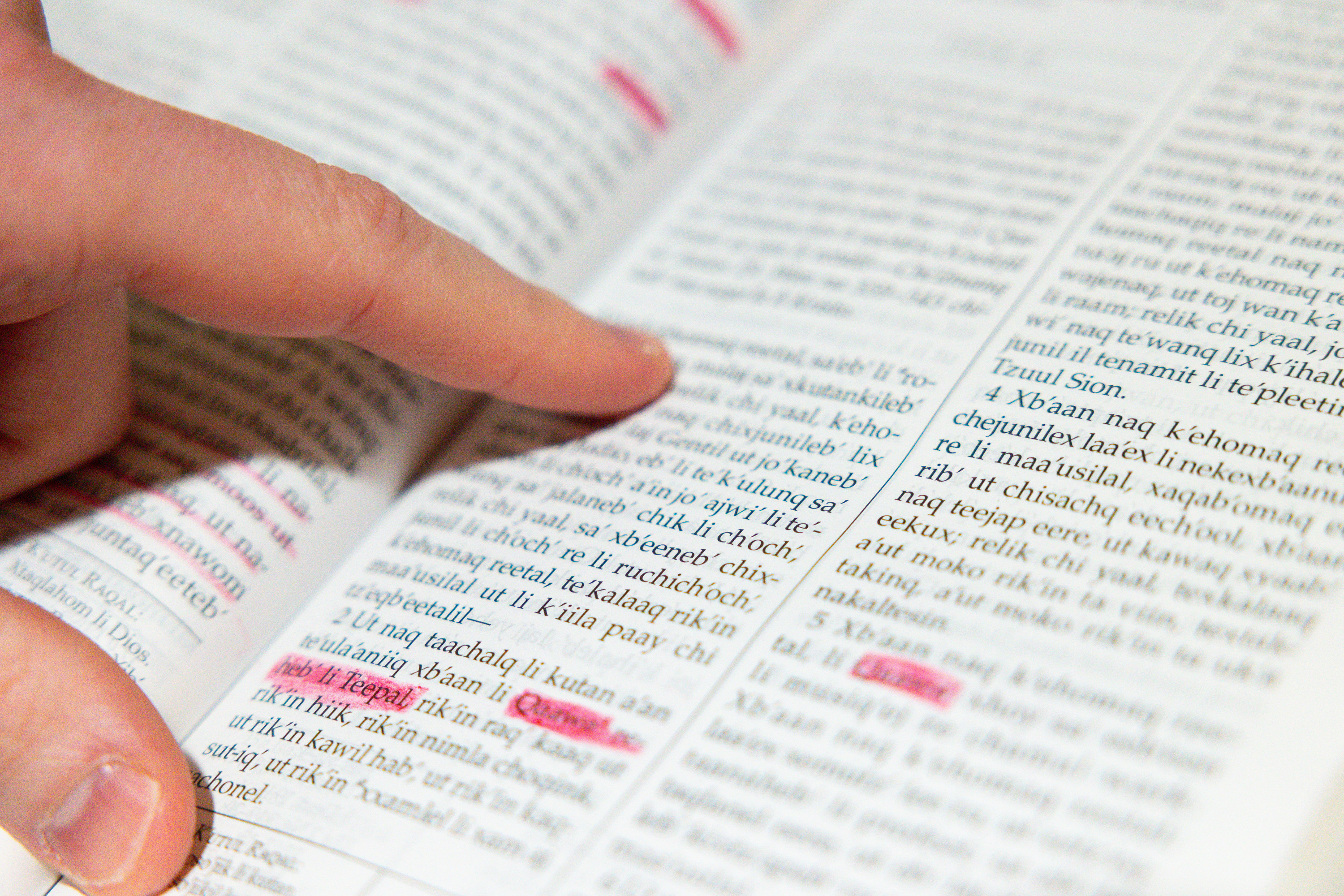 Jace Norton, fundador y director ejecutivo de Maya Bridge Language Services, señala caracteres de un Libro de Mormón Q'eqchi' en la oficina de su casa en el sur de Jordania el 10 de abril.