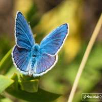 Making your home a sanctuary for Utah's little miracle workers