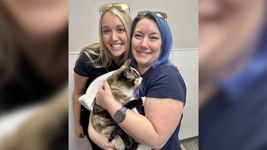 Some Utahns were reunited with their cat after they accidentally shipped it to California with an Amazon return.