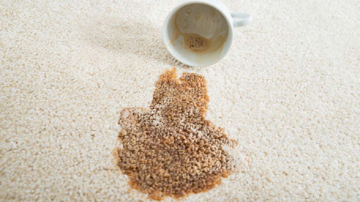 Oxi Fresh Carpet Cleaning named 'best eco-friendly cleaner' by Bob Villa