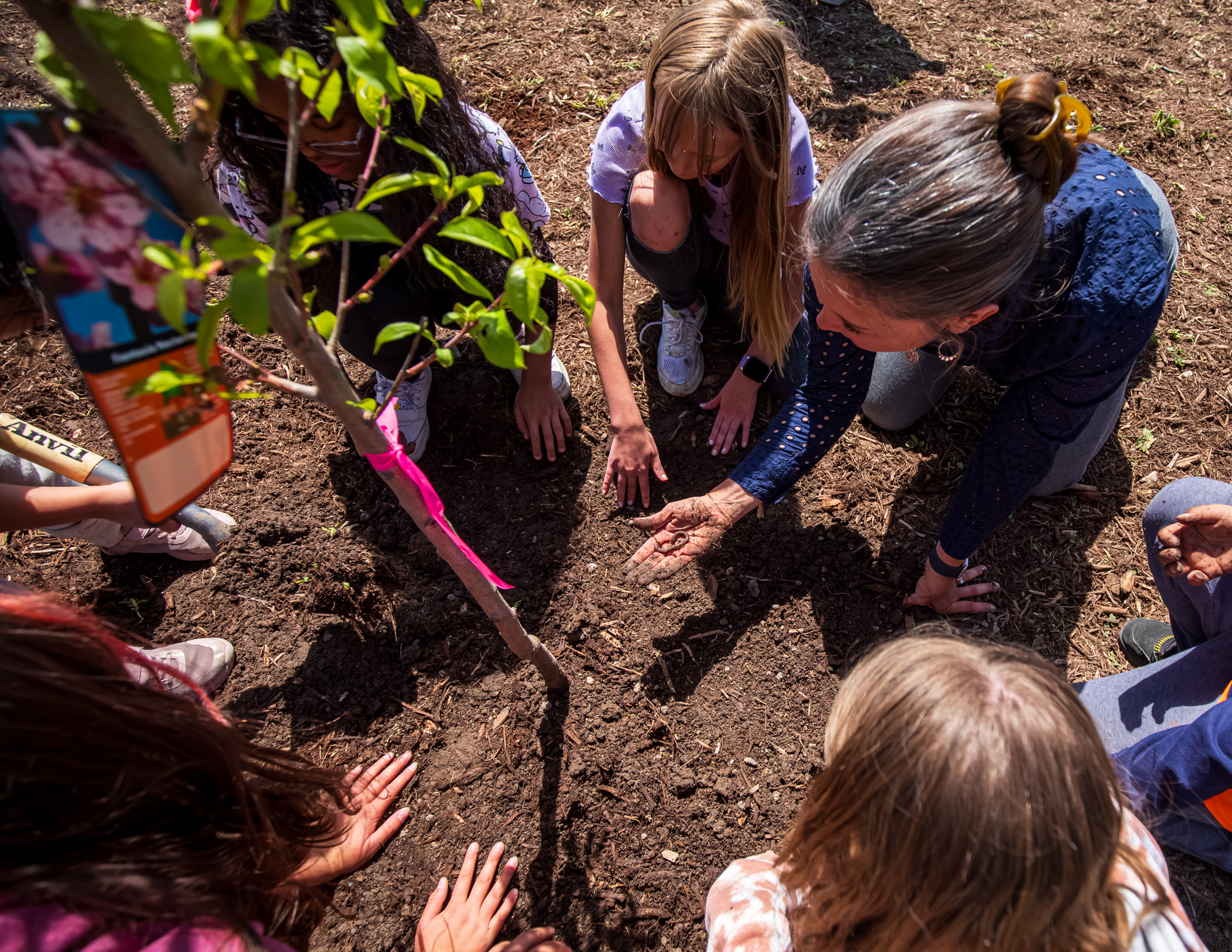 Salt Lake City Mayor Erin Mendenhall shows Parkview Elementary students a worm found in the dirt used to plant a new tree at the 9-Line Community Orchard in Salt Lake City on Tuesday.