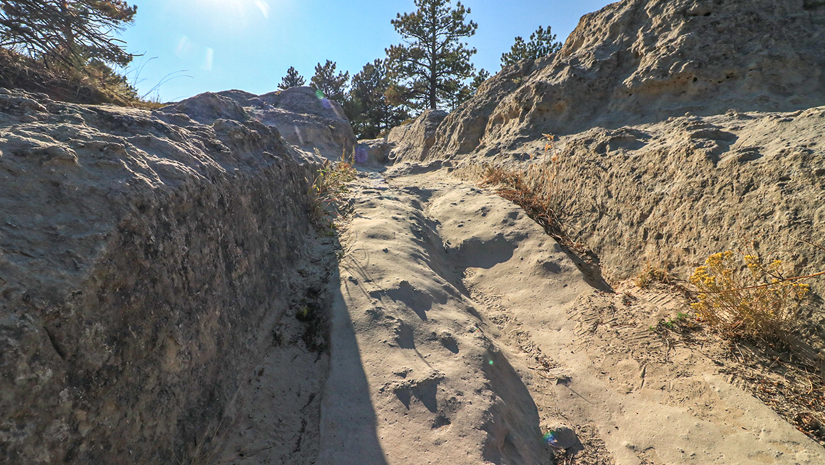 Ruts in the ground from pioneers trekking across the country.