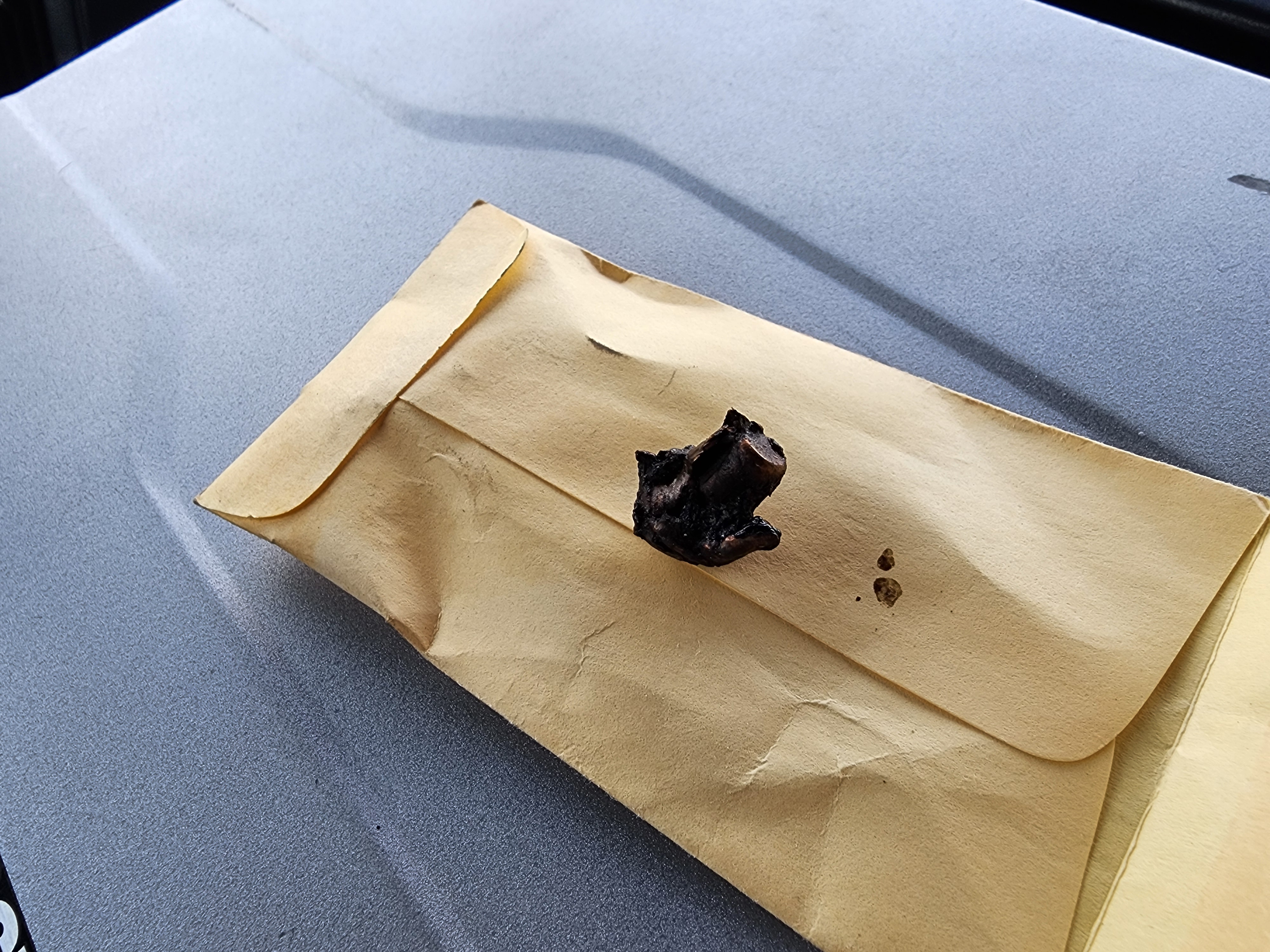 Bullet fragments found in animal carcasses can provide evidence in poaching cases when matched to a poacher's rifle.