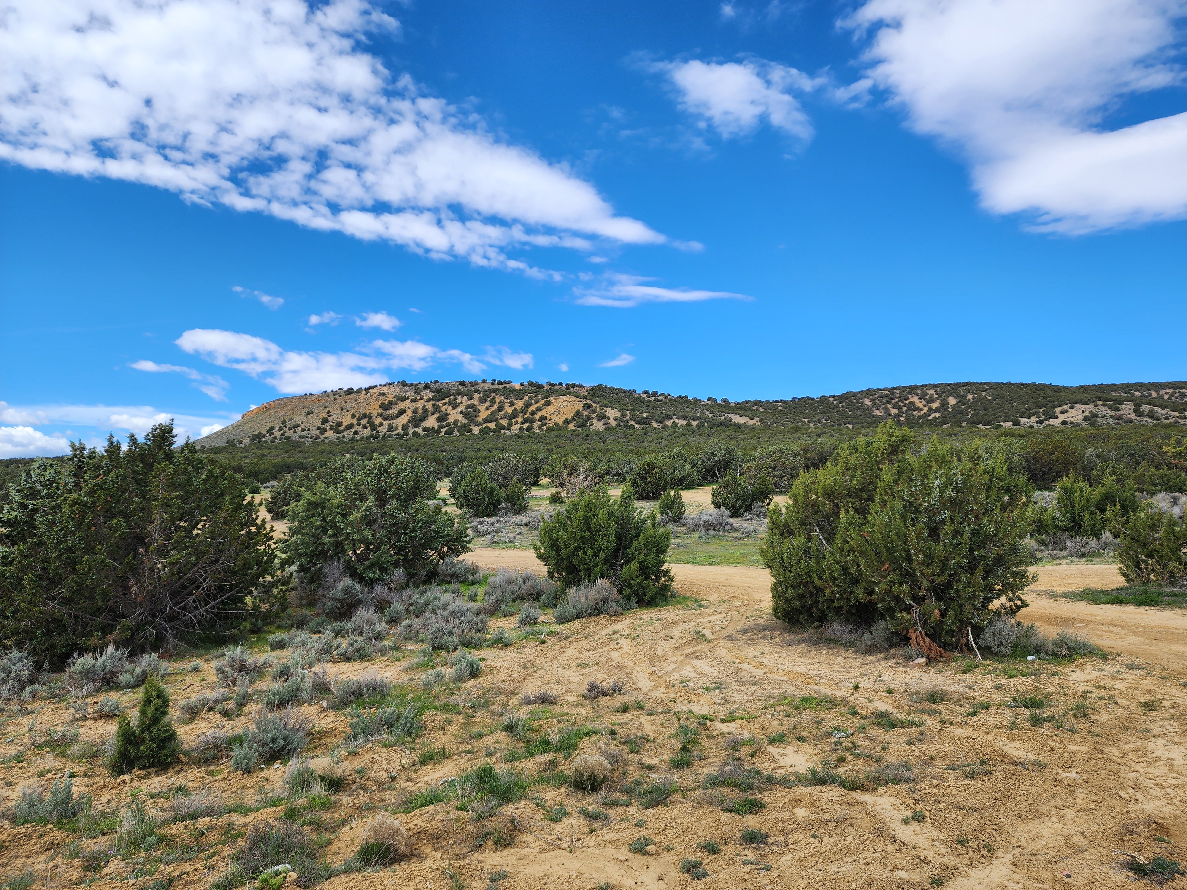 The terrain near a scene of a recent Utah County poaching case that was successfully prosecuted, thanks to help from the public.