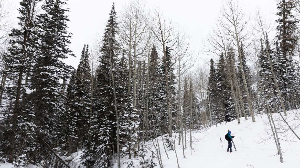 A skier is seen at the Whitepine Trailhead in Alta on March 4. A storm arriving in Utah on Sunday has the potential to deliver 1 to 2 feet of snow in parts of Utah's mountains by Tuesday, according to the National Weather Service.