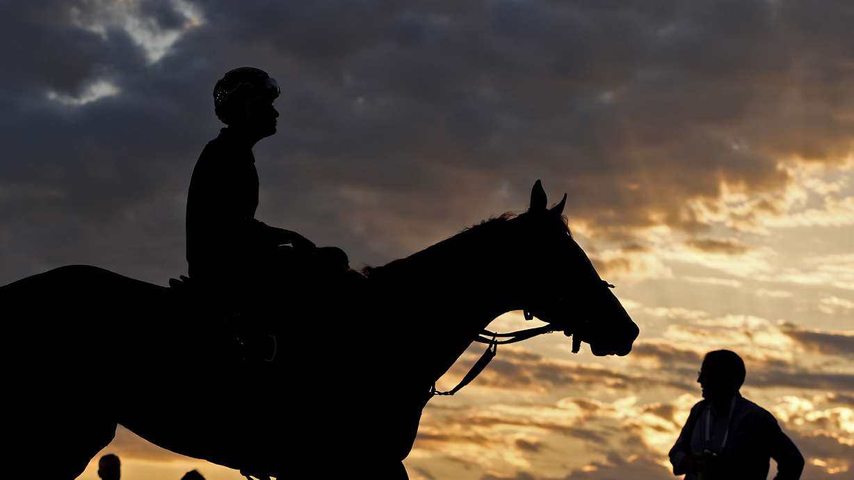 A horse comes off the track after a workout at Churchill Downs Wednesday, May 1, 2024, in Louisville, Ky. The 150th running of the Kentucky Derby is scheduled for Saturday, May 4.