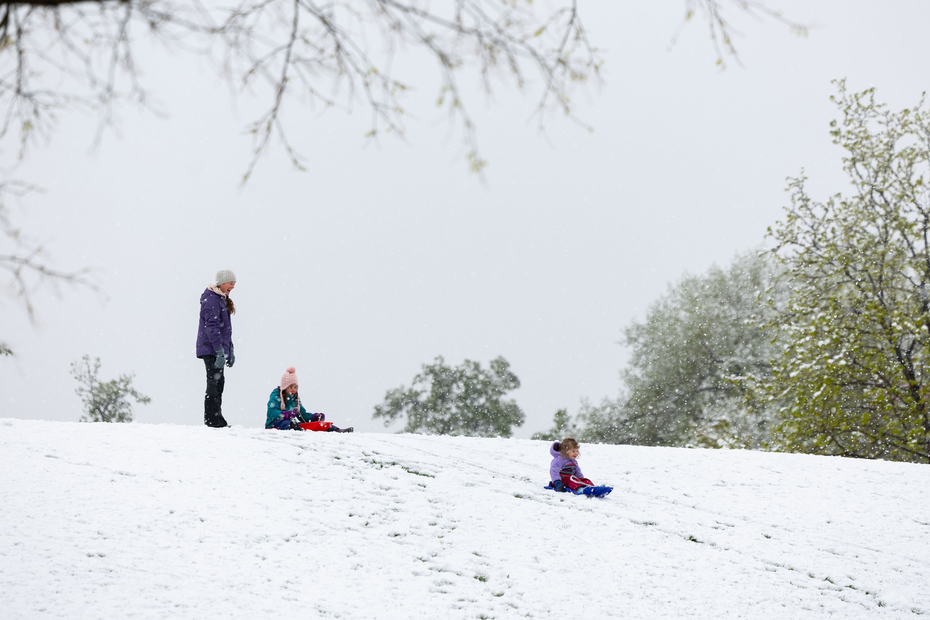 A family from Salt Lake City sled down a hill in the snow at Liberty Park in Salt Lake City on Sunday.