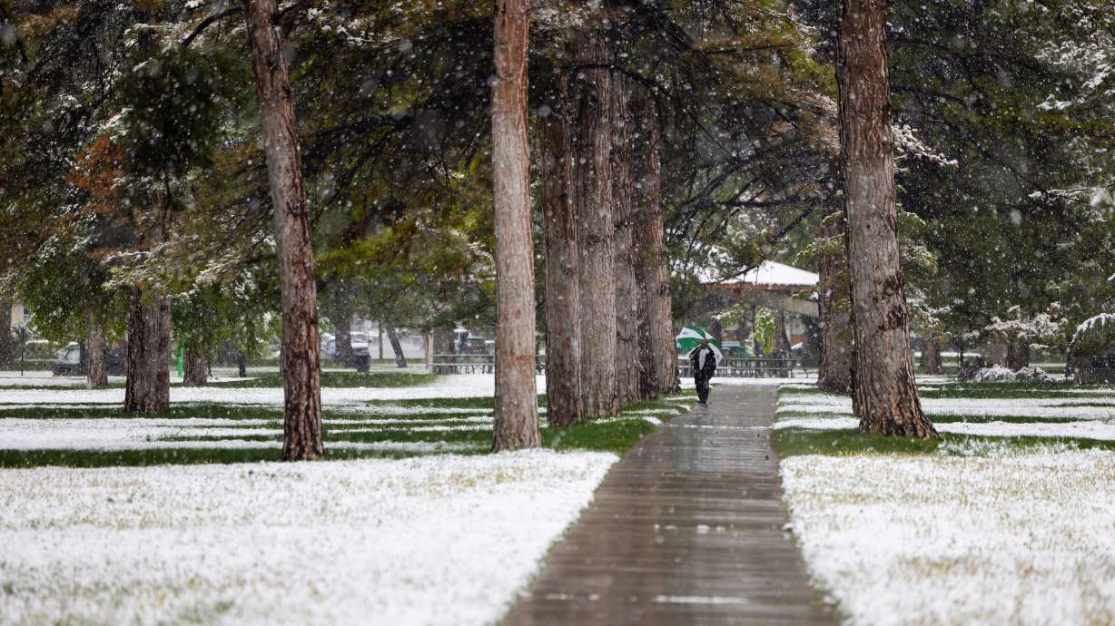 A man, who asked not to be named, walks with his umbrella under snow-covered trees at Liberty Park in Salt Lake City on Sunday. More rain and snow is in Utah's forecast through at earliest the end of Tuesday.