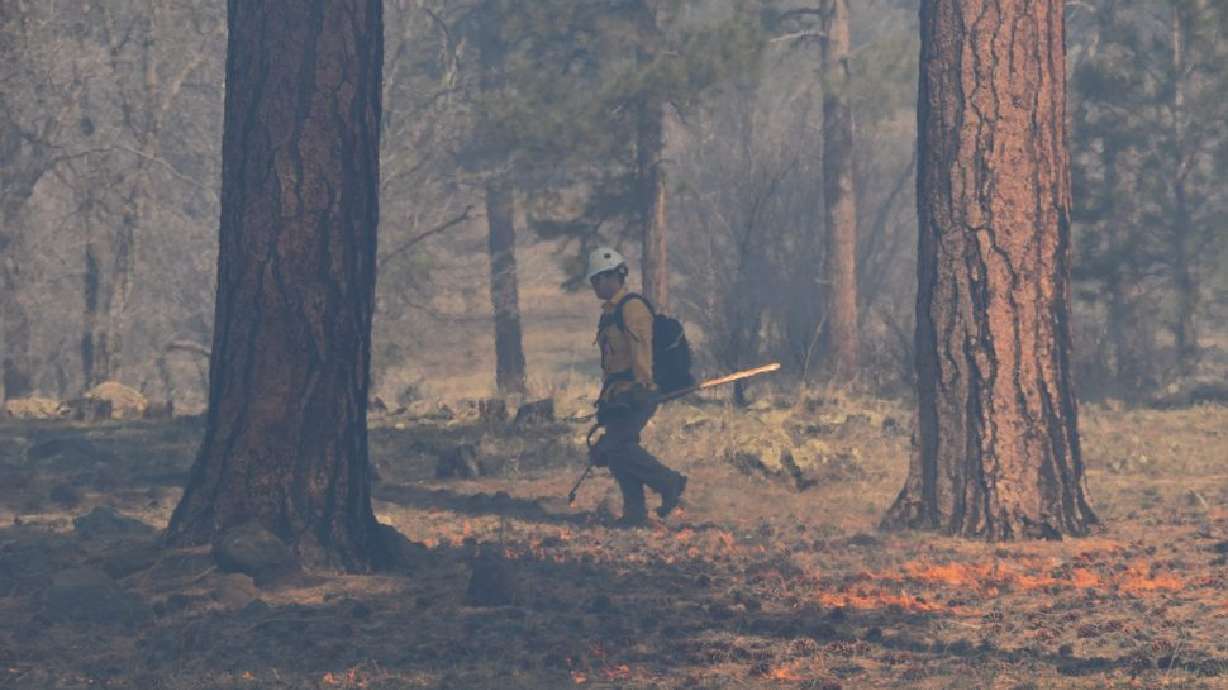 The Bureau of Land Management recently completed a prescribed burn south of St. George in an effort to improve the resilience of native plants.