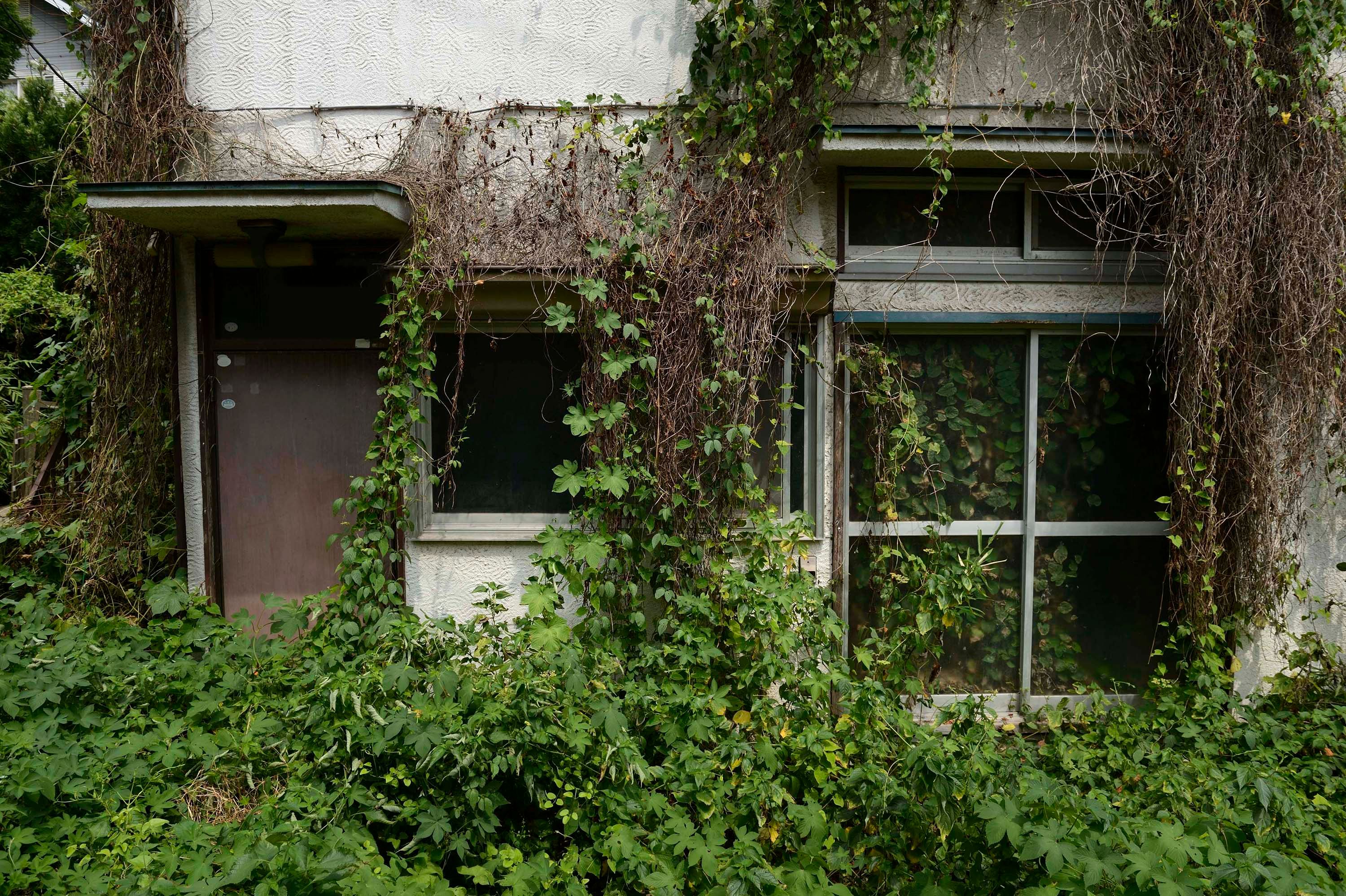 Overgrown vegetation surrounds a vacant house in Yokosuka, Japan, on Aug. 21, 2013. The number of vacant houses in Japan has surged to a record high of nine million.