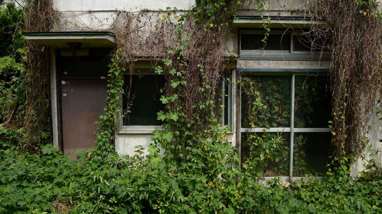 Overgrown vegetation surrounds a vacant house in Yokosuka, Japan, on Aug. 21, 2013. The number of vacant houses in Japan has surged to a record high of nine million.