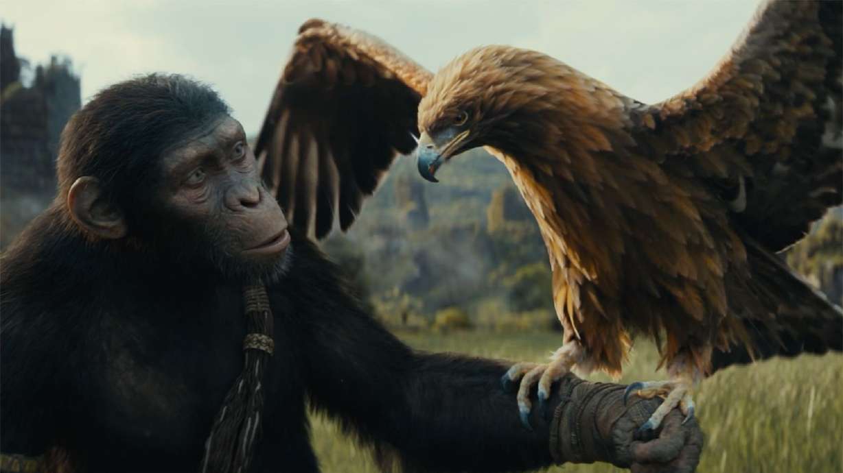 Noa (voiced by Owen Teague) in "Kingdom of the Planet of the Apes."