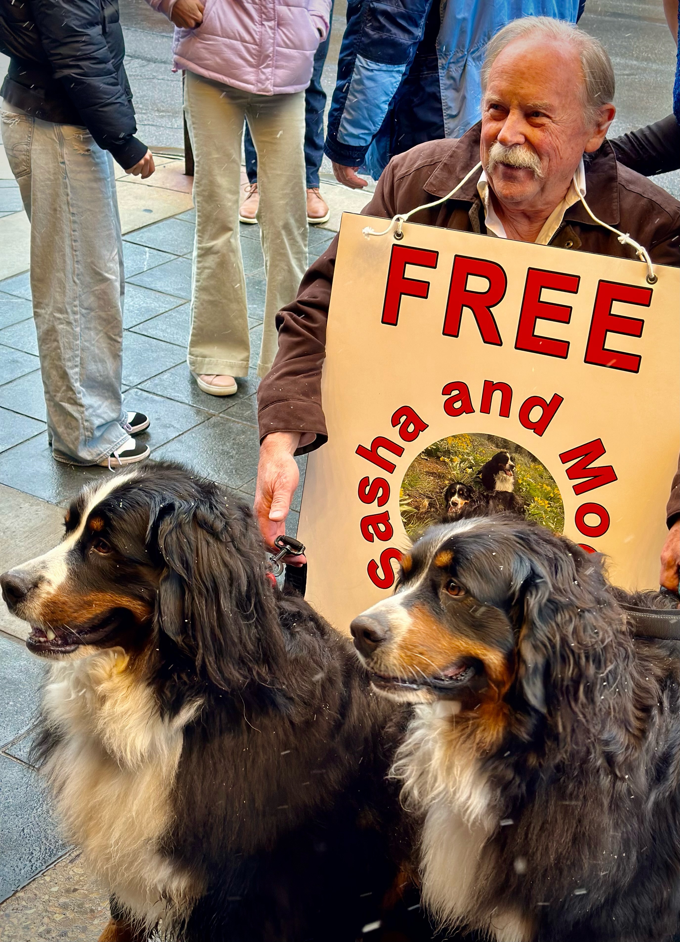 Sasha and Mocha, dogs belonging to Eric Hermann and Susan Fredston-Hermann, pose in front of the Egyptian Theater for the Park City Follies in April.