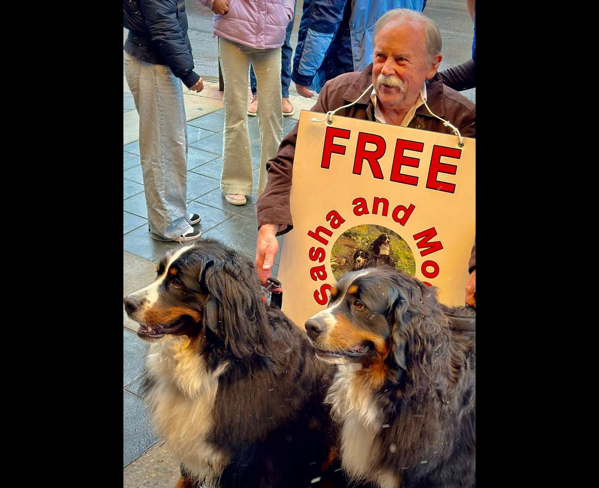 Sasha and Mocha, dogs belonging to Eric Hermann and Susan Fredston-Hermann, pose in front of the Egyptian Theater for the Park City Follies in April.