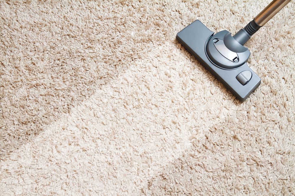 7 secrets to help your older carpets look new again