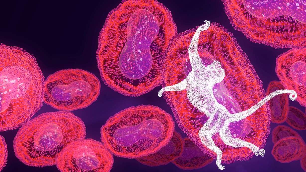 The Centers for Disease Control and Prevention is urging people at high risk of monkeypox to be vaccinated against the disease.