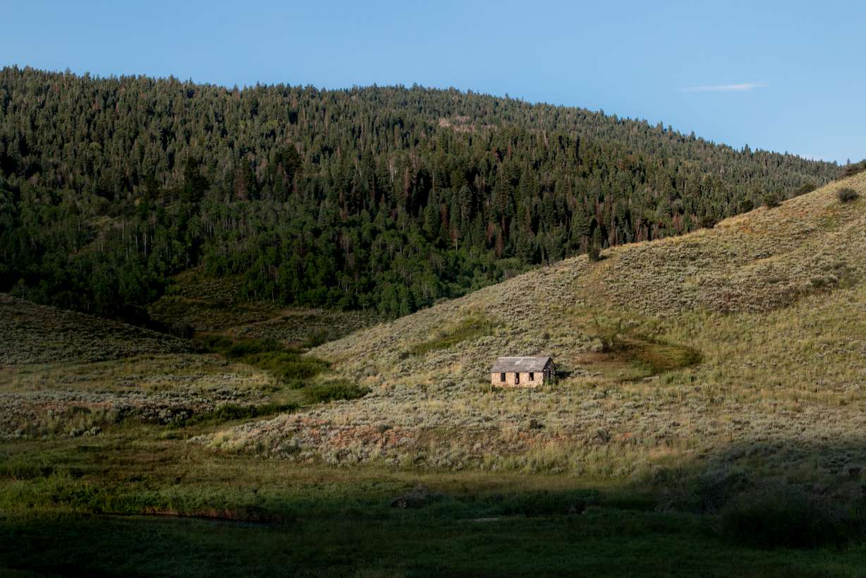 The 910 Cattle Ranch, a sprawling 8,588-acre property in the western part of Summit County, will be purchased after grant funding is made available in 2025.