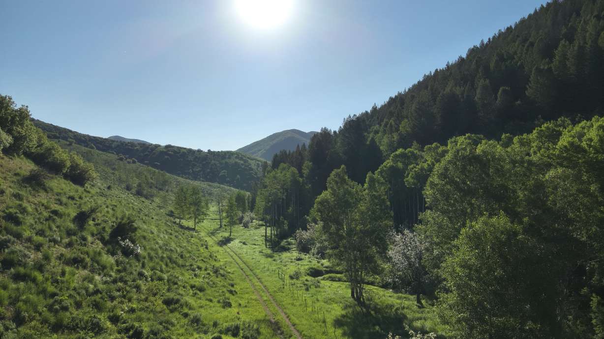 The 910 Cattle Ranch, a sprawling 8,588-acre property in the western part of Summit County, will be purchased after grant funding is made available in 2025.