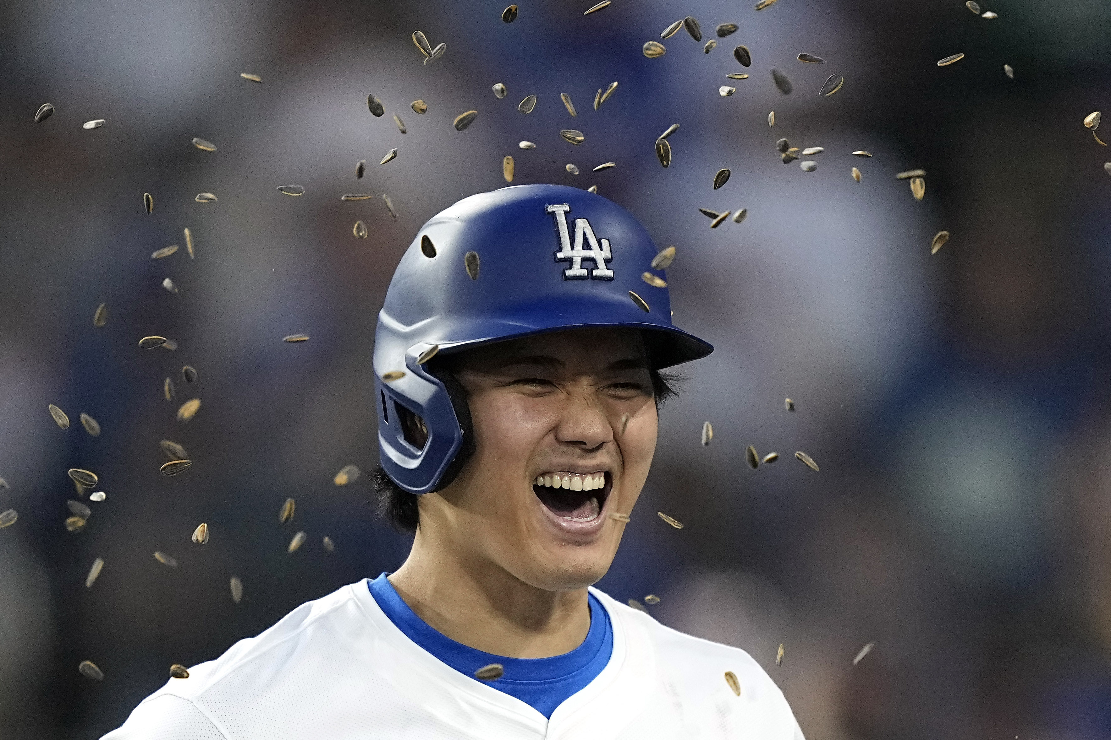 Los Angeles Dodgers designated hitter Shohei Ohtani has sunflower seeds tossed at him by Teoscar Hernandez after hitting a two-run home run during the third inning of a baseball game Friday, May 17, 2024, in Los Angeles. 
