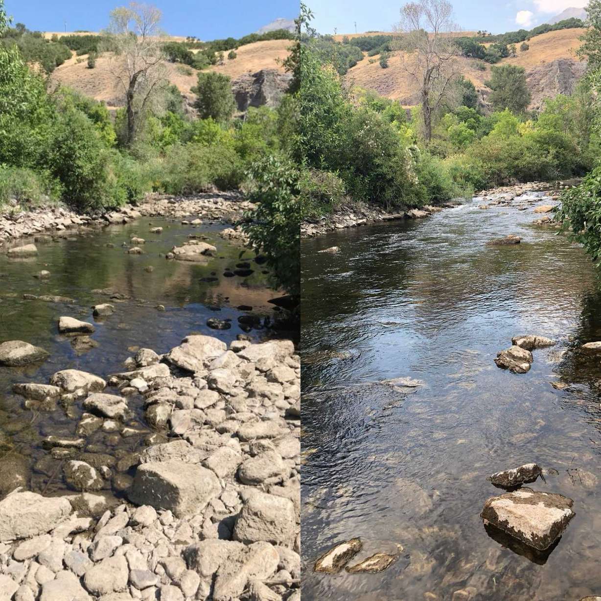 A compilation of before and after photos of the lower Provo River in June 2018. On the left, the river has 0 cubic feet per second. On the right, the flow is at around 7 cubic feet per second.