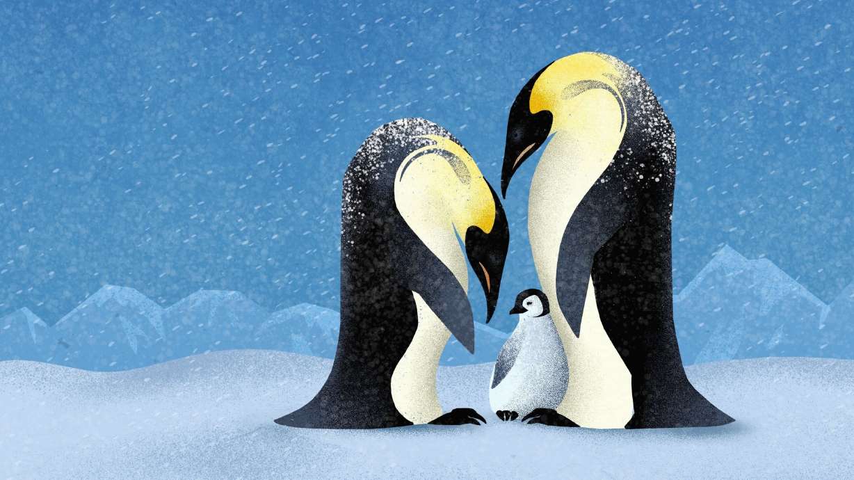 There are significant variations between U.S. states for determining the best and worst states for raising children.