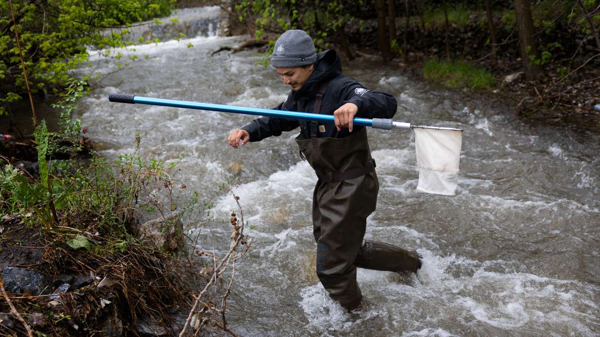 Evan Weltsch, Salt Lake City Public Lands park ranger, walks through City Creek in Memory Grove in Salt Lake City on April 26. The regional outlook gives Utah reason for hope when it comes to drought.