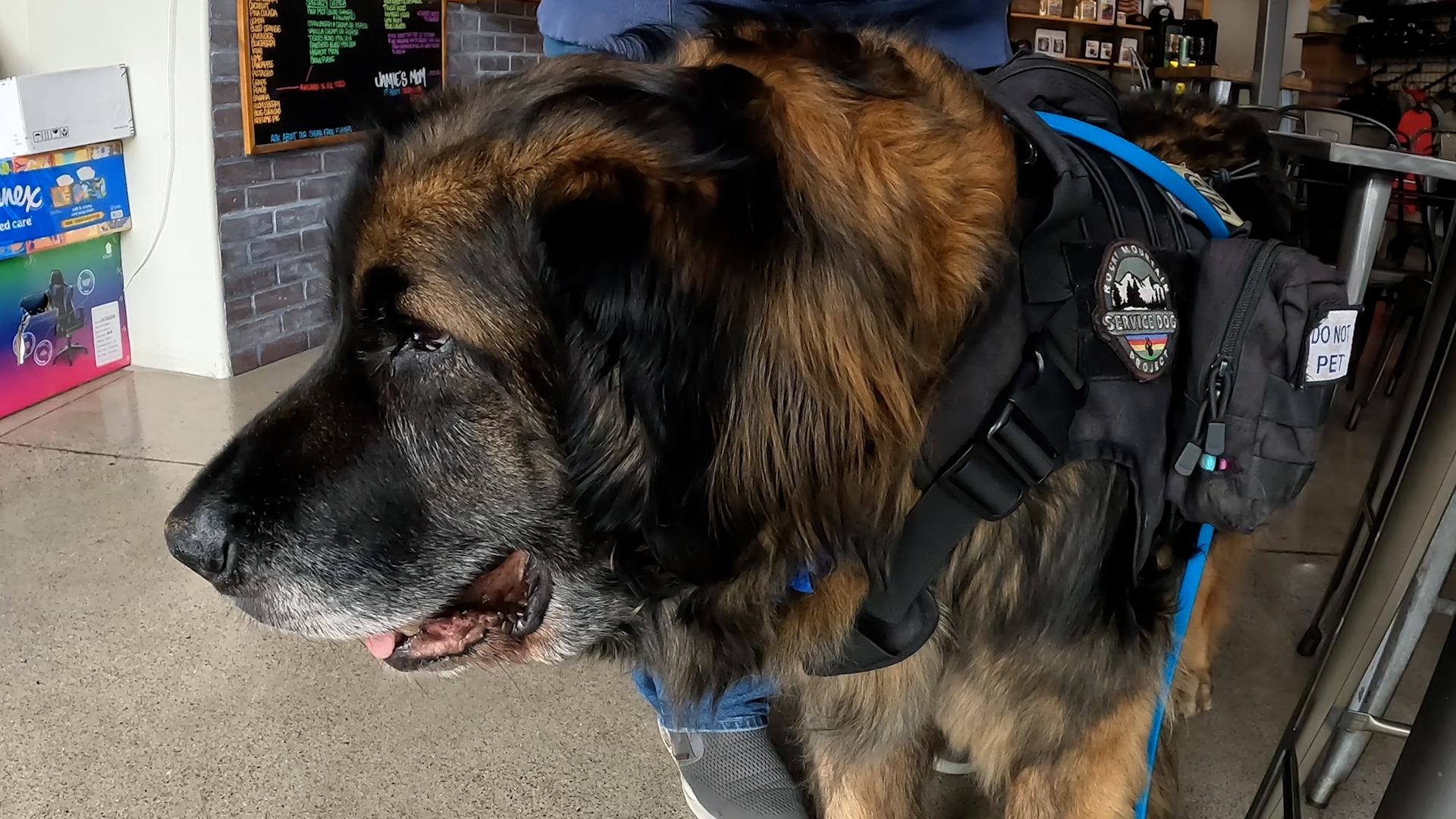 With the help of Rocky Mountain Service Dog Project, Michael Fink was able to graduate from Utah State University after enduring post-traumatic stress disorder after his service in Iraq.