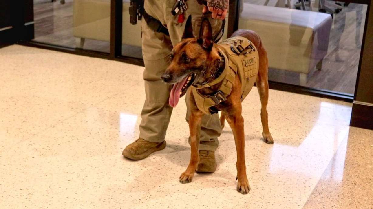Washington County sheriff’s K-9 Nero is honored on the day of his retirement from duty, in St. George, Tuesday.