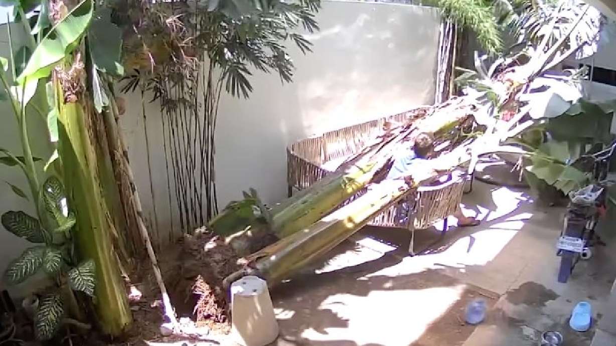 A tree fell on the patio of this Dasmarinas, Cavite, Philippines, home on April 30.