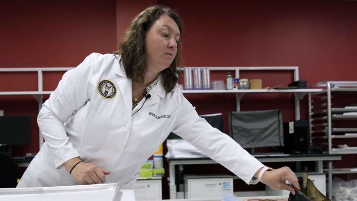 Defense POW/MIA Accounting Agency forensic anthropologist Carrie Brown works at Offutt Air Force Base, May 20. in Nebraska. The lab offers about 200 families a year the chance to honor their relatives with a proper burial.