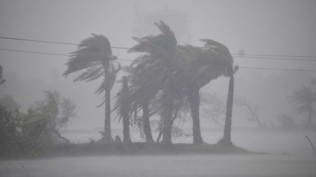 Trees swing during heavy winds and rains caused by Cyclone Remal along the coastal areas at Bakkhali, South 24 parganas, West Bengal, India, Monday.