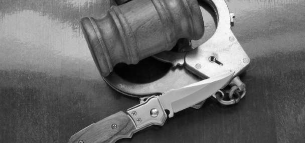 Salt Lake man stabbed dog during fight with girlfriend, police say