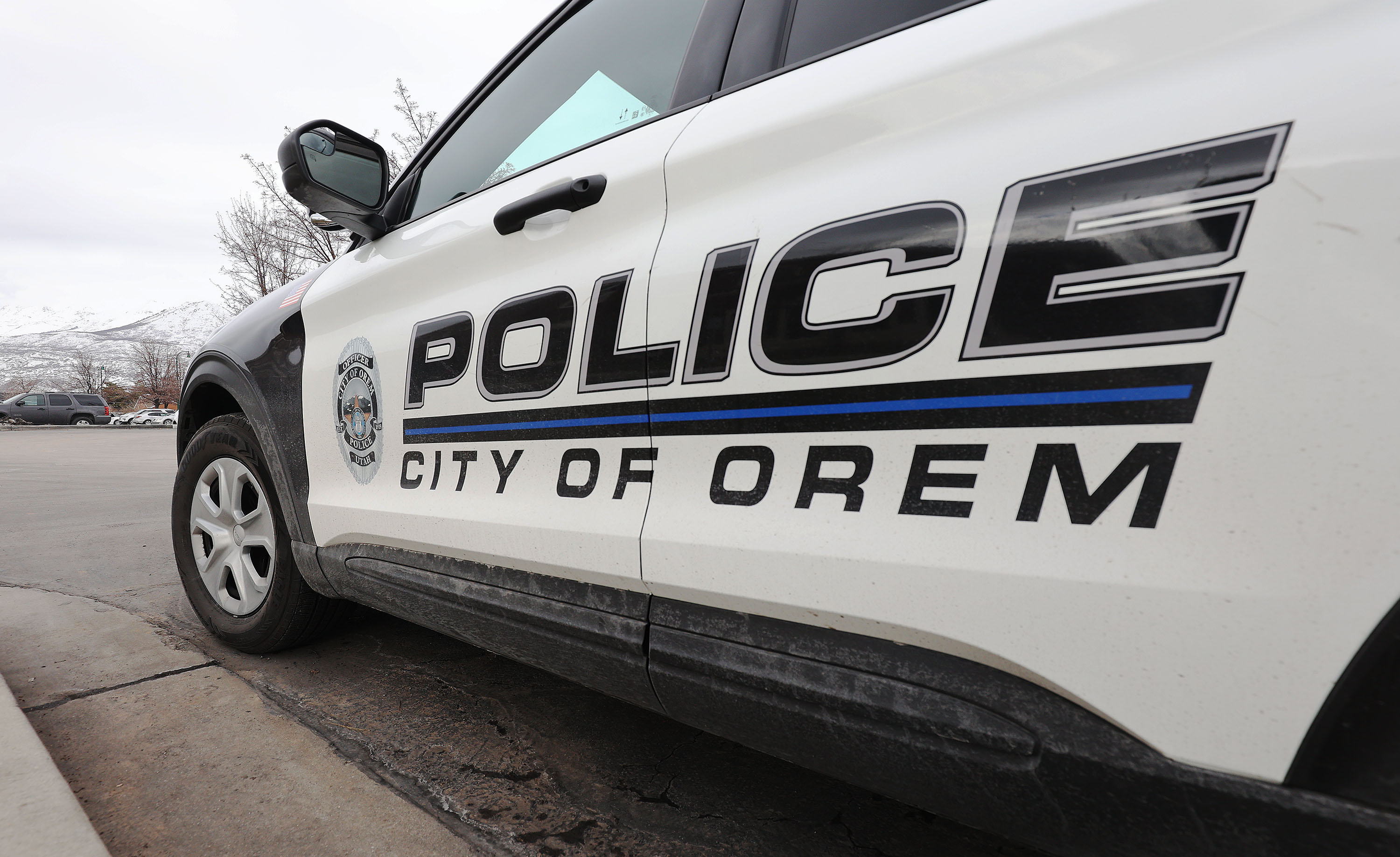 A woman who prosecutors believe is part of a nationwide tap-to-pay scam is facing multiple criminal charges after she was arrested in Orem.