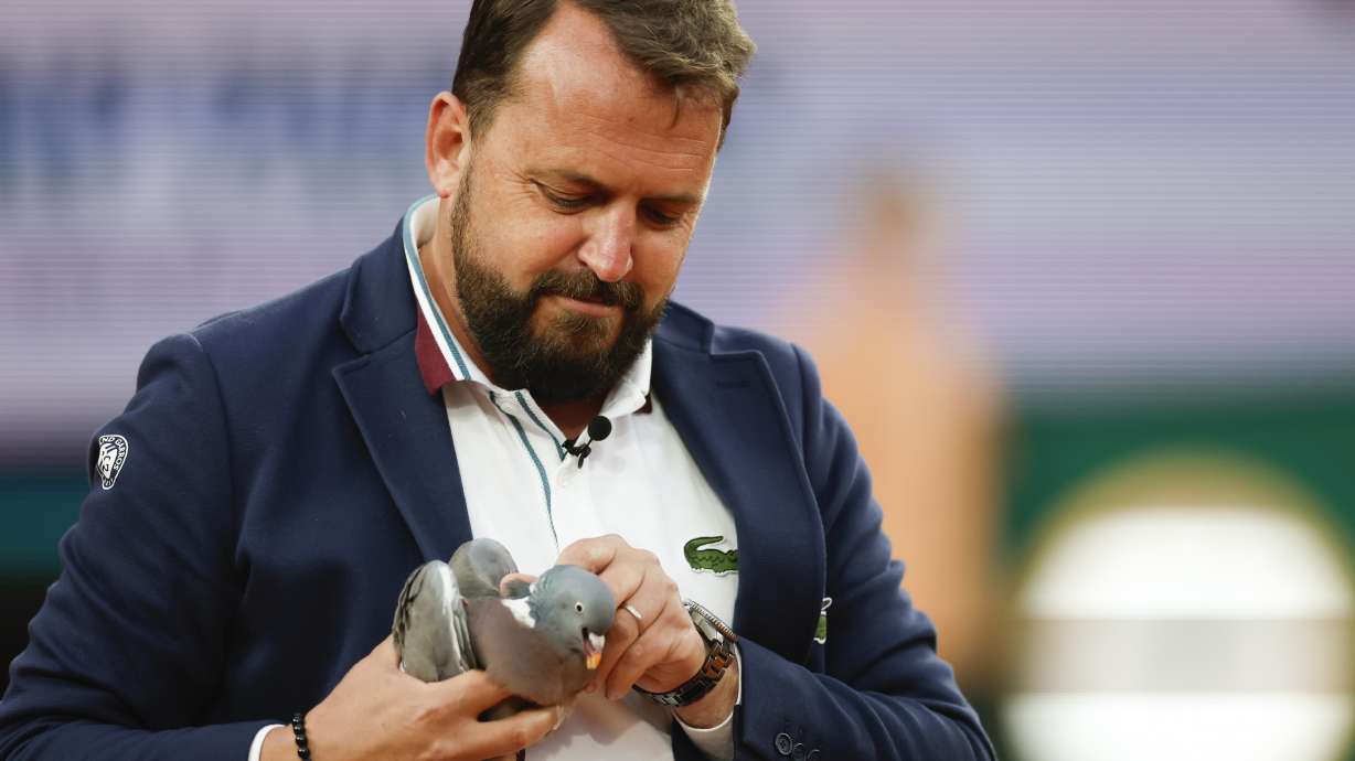 Chair umpire Damien Dumusois of France holds a pigeon that crashed onto the court during the third round match of the French Open tennis tournament between Tomas Machac of the Czech Republic and Russia's Daniil Medvedev at the Roland Garros stadium in Paris, Saturday, June 1, 2024.