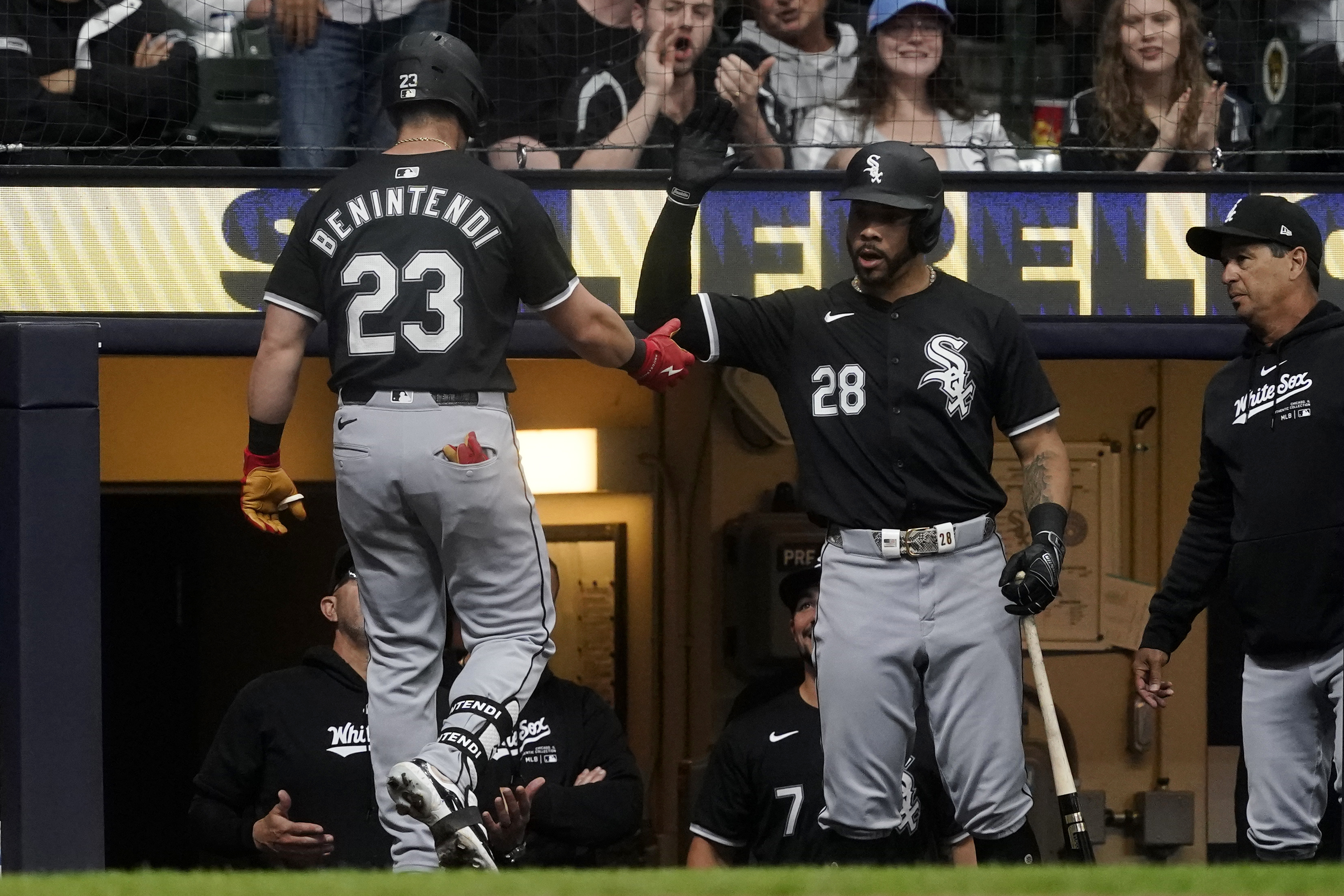 Chicago White Sox's Andrew Benintendi (23) is congratulated by Tommy Pham (28) in the dugout after hitting a solo home run during the third inning of a baseball game against the Milwaukee Brewers, Saturday, June 1, 2024, in Milwaukee. 