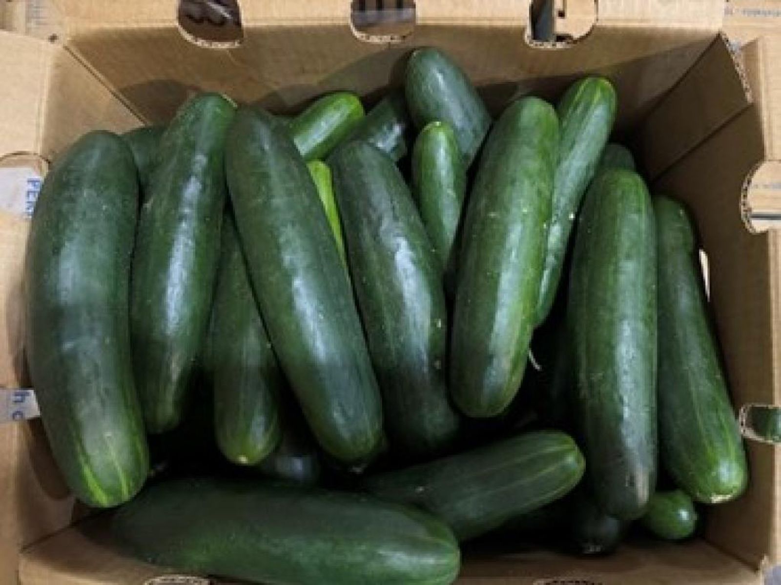 Fresh cucumbers have been recalled due to possible contamination with salmonella.