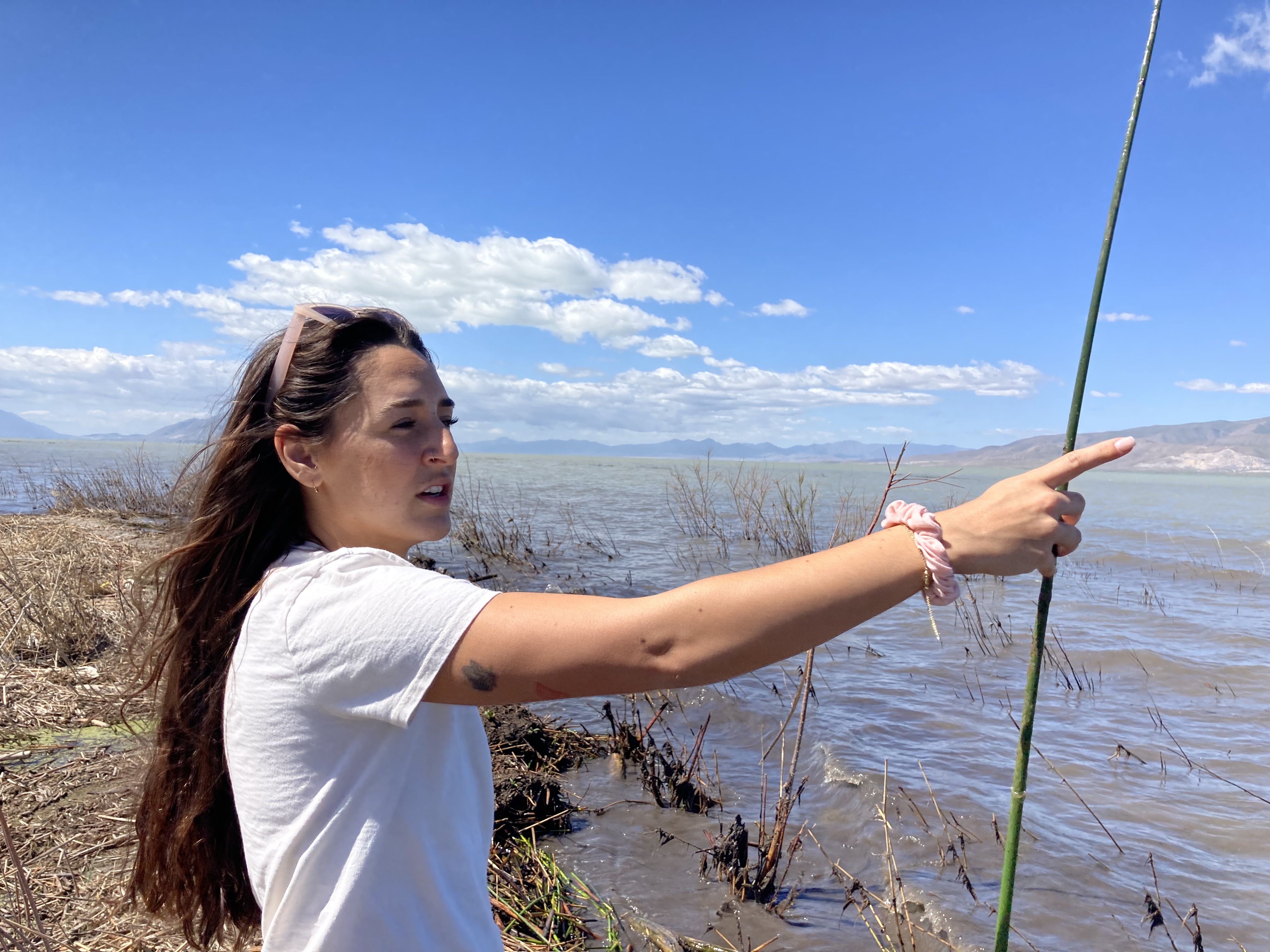 Addy Valdez, a conservation biologist with Utah Lake Authority, leads volunteer groups to the lakeshore to plant hundreds of native plants on Tuesday.
