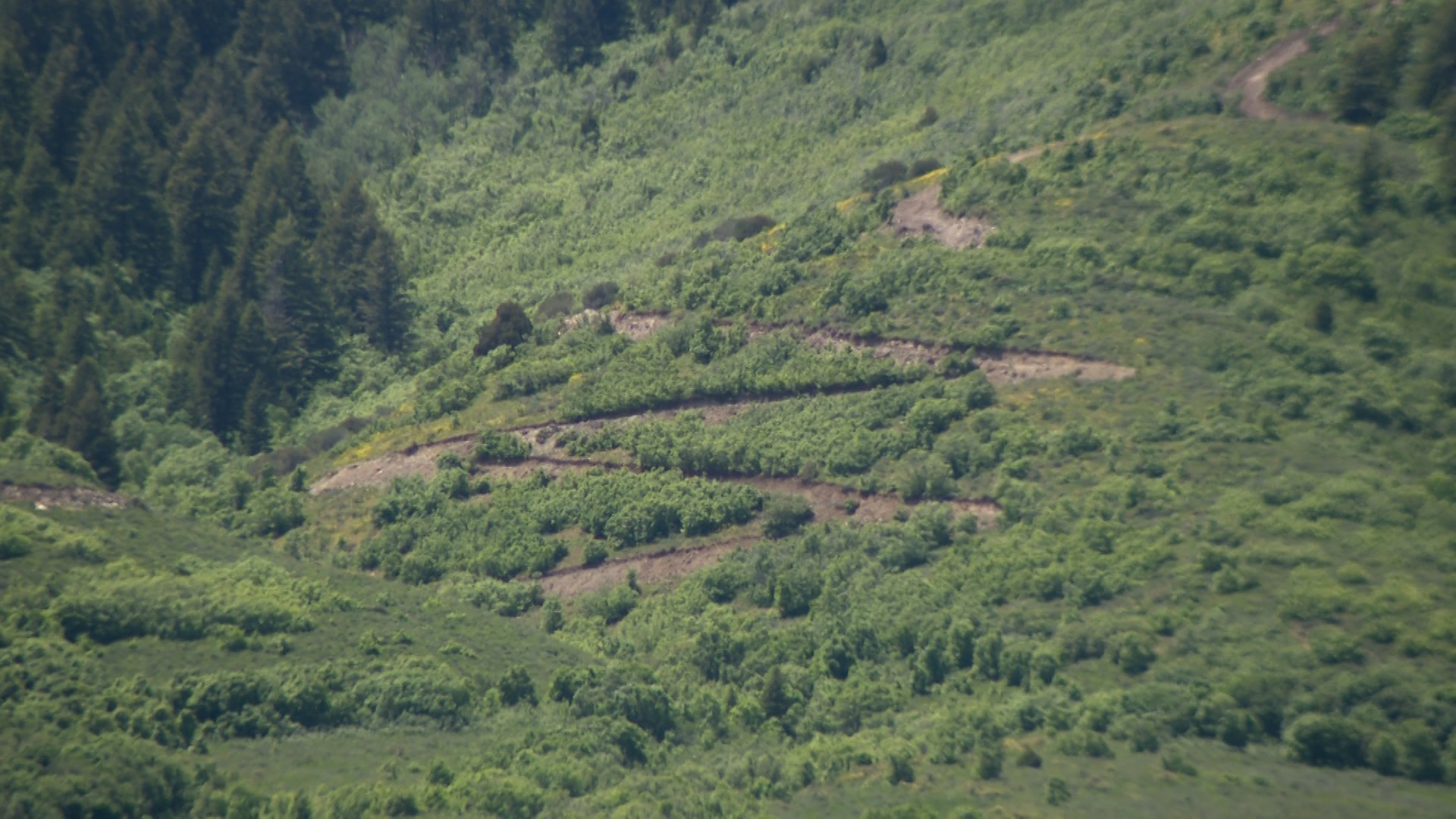 This photo shows a view on Tuesday of the new road being created by the landowner near the trailheads above Clarkston, Cache County.