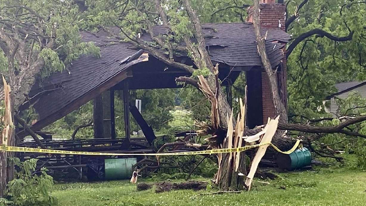 Several trees slammed into a structure at Rotary Park in Livonia, MIch., Wednesday, as a tornado tore through the western Wayne County community.