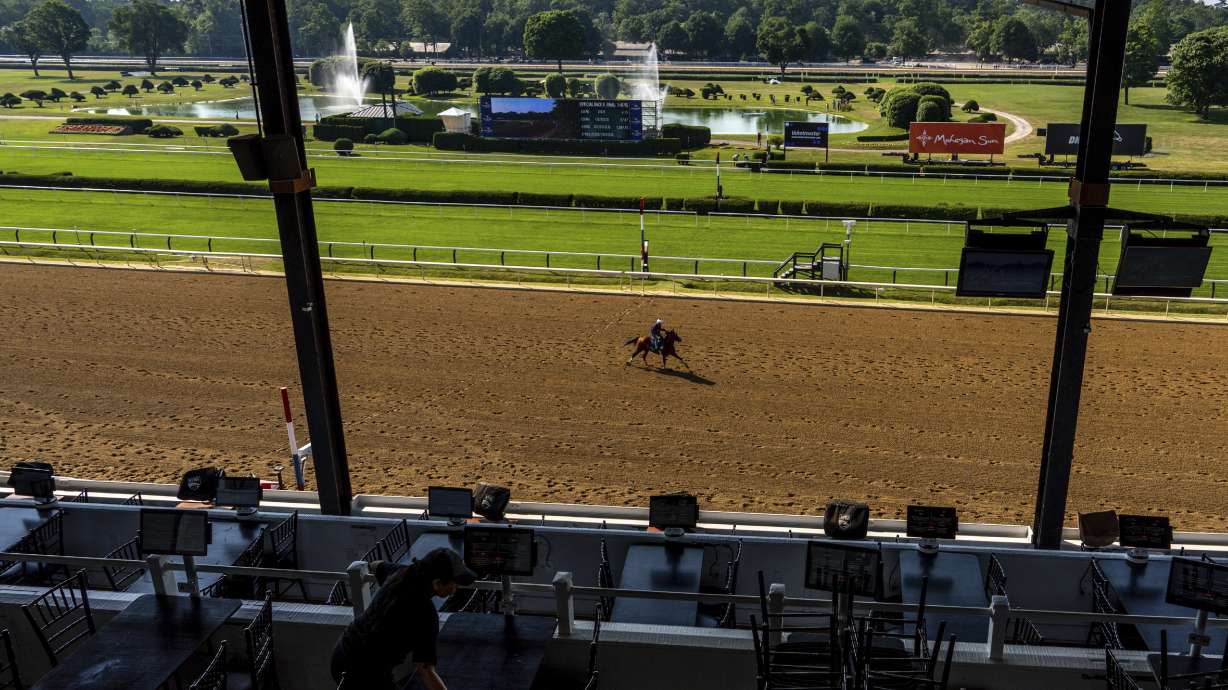 A horse works out ahead of the 156th running of the Belmont Stakes horse race at Saratoga Race Course, Wednesday, June 5, 2024, in Saratoga Springs, N.Y.