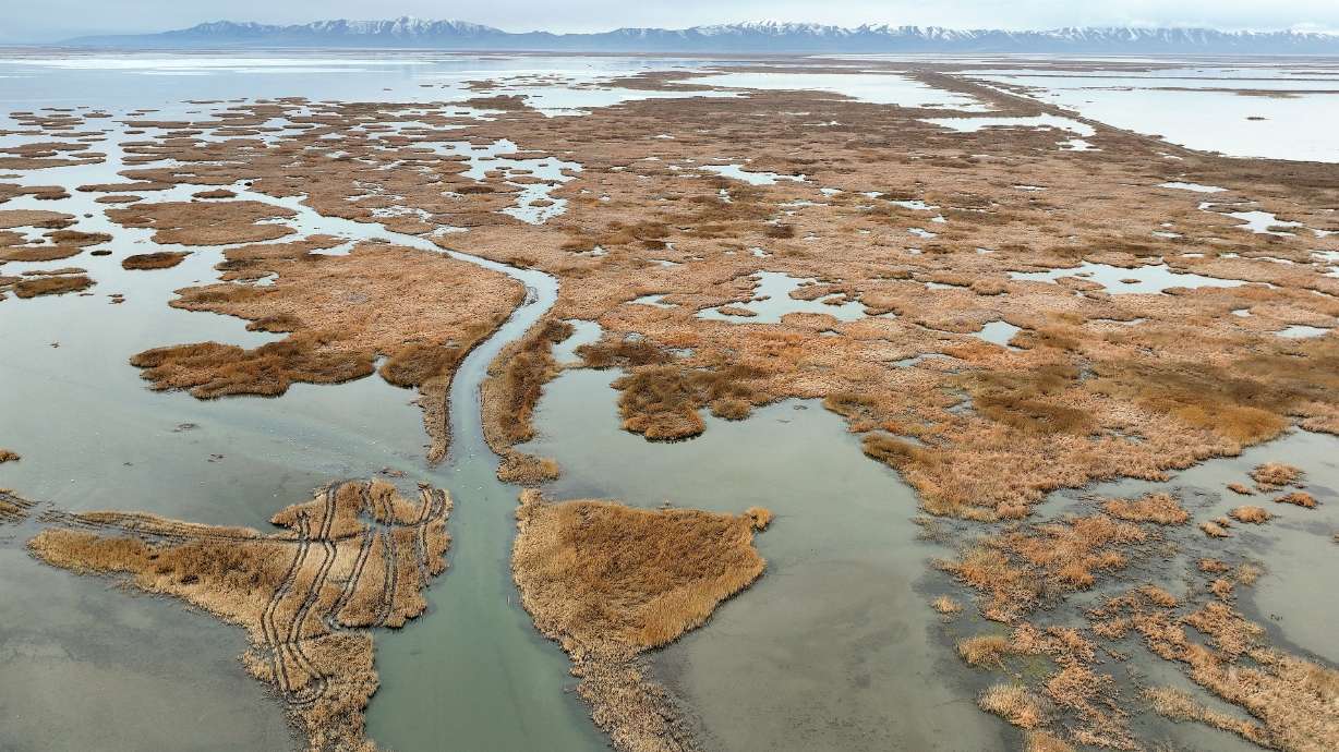 The Willard Spur Waterfowl Management Area near the Great Salt Lake in Box Elder County on Feb. 6. Ogden is pursuing a $99 million pipeline upgrade to help reduce water loss in the area.