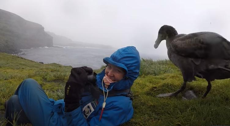 A curious giant petrel gets up close and personal with a hiker in South Africa.