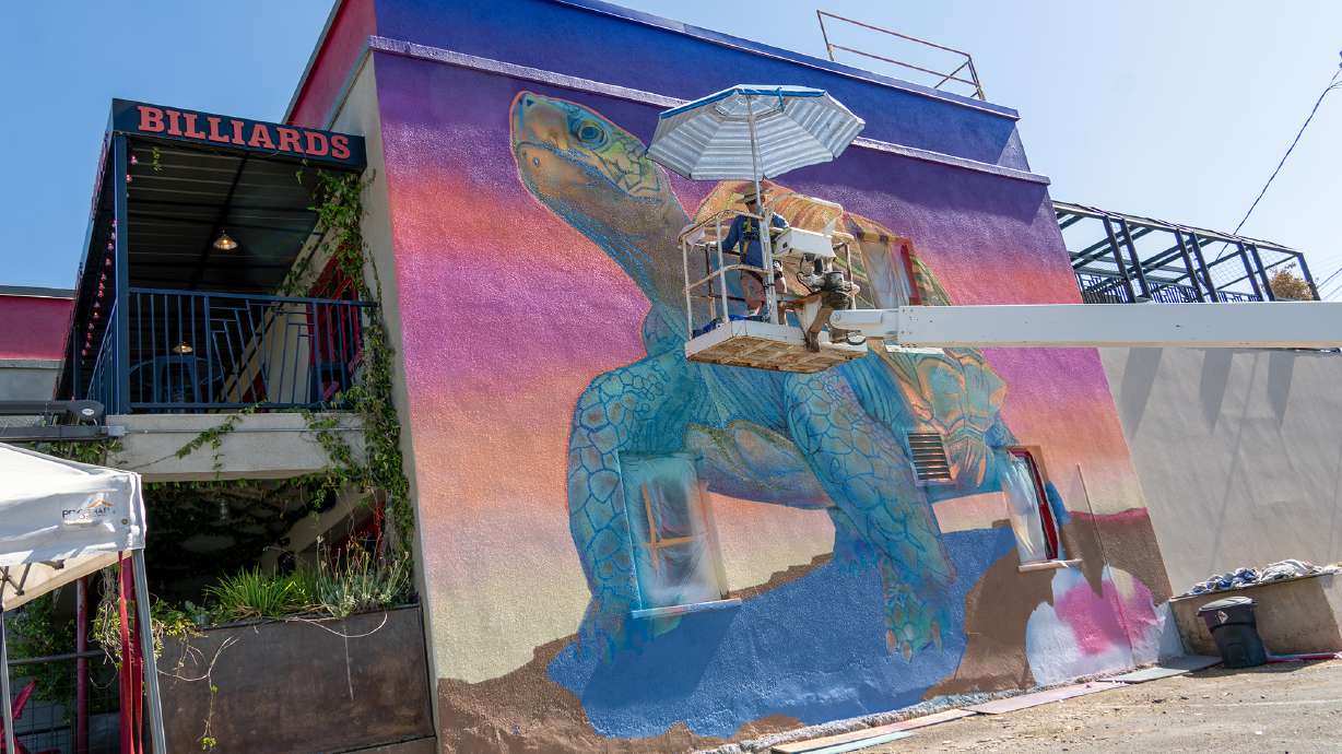 Artist Chris Peterson with Utah Wildlife Walls was commissioned to paint a tortoise mural on the wall of the Station 2 Bar by Zion Brewery, St. George, Tuesday.