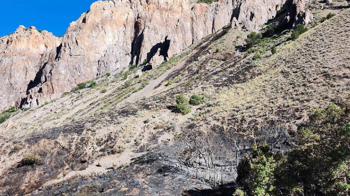 The Clear Creek Fire has burned 20 acres in Sevier County. The fire is 50% contained as of Thursday morning.